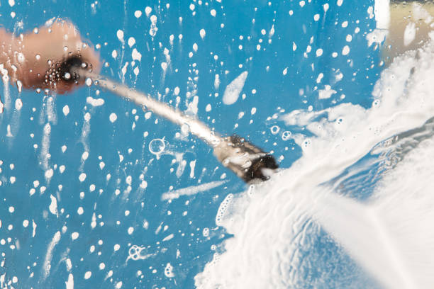 Best Animal Enclosure Cleaning  in Buttonwillow, CA