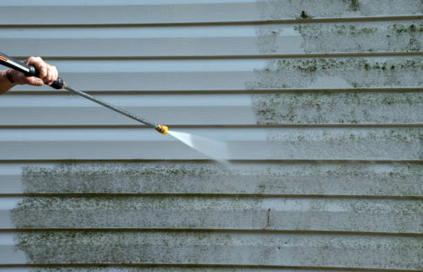 Best Gutter Cleaning  in Buttonwillow, CA