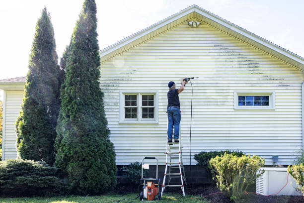 Best Fence Cleaning  in Buttonwillow, CA